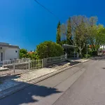Palmas *