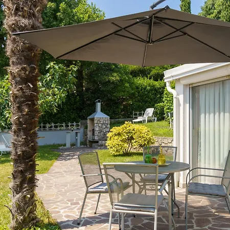 Palmas * ツリクヴェニツァ