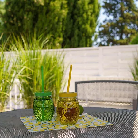 Palmas ツリクヴェニツァ