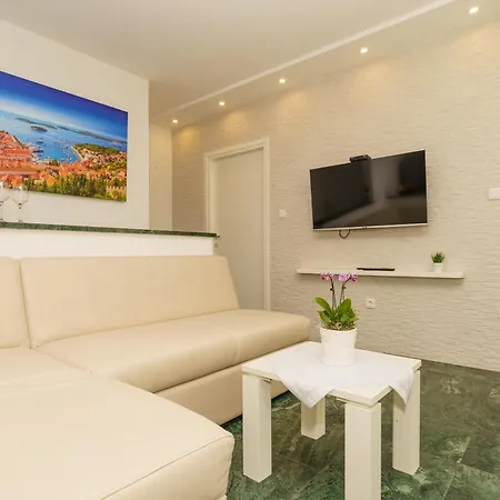 Palmas * ツリクヴェニツァ