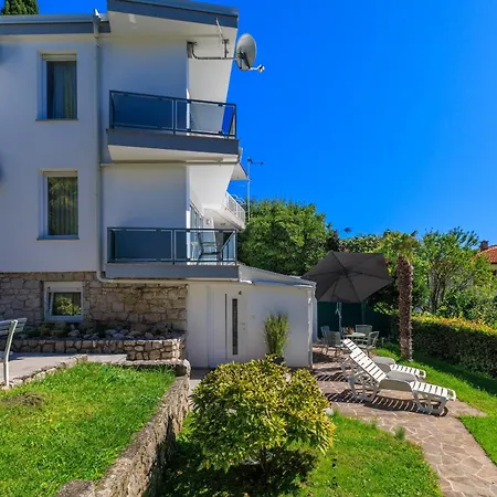 Palmas ツリクヴェニツァ