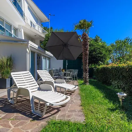 Palmas ツリクヴェニツァ