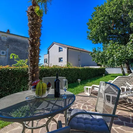 Palmas * ツリクヴェニツァ